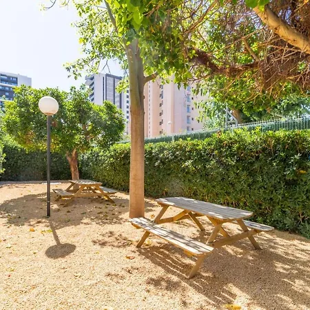 Apartamento Estrella De 8c